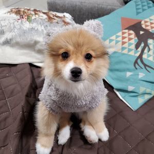 Meet your Posher, Marian